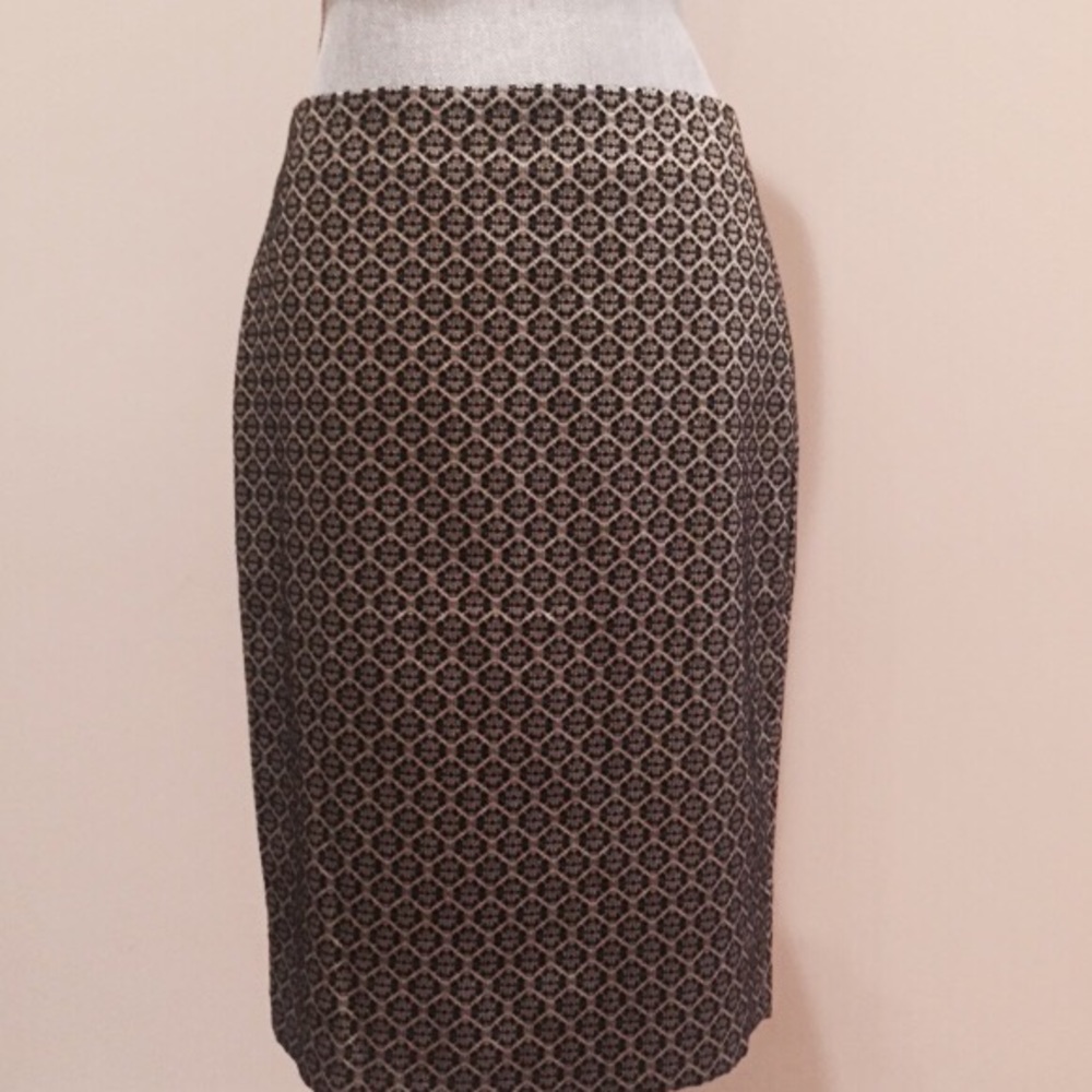 Ann TAYLOR skirt